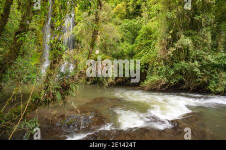 Rio Pita in einer steilen Nebelwaldschlucht beim Cotopaxi Vulkan in den ecuadorianischen Anden. Stockfoto