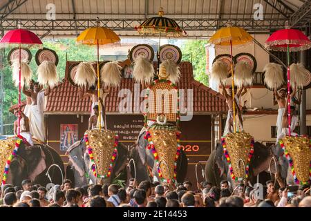Dekorierte Elefanten nehmen an einem jährlichen Tempelfest in Siva Tempel in Ernakulam, Kerala Staat, Indien Teil Stockfoto