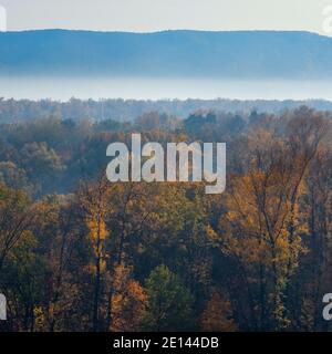 Schönes Panorama des Herbstwaldes, auf den Bergen. Morgennebel im Tal zwischen den Berghängen. Stockfoto