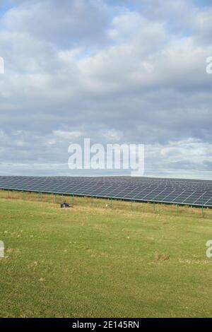 Der Solarpark (3,6 MWp) In Dortmund auf dem Deusenberg Stockfoto