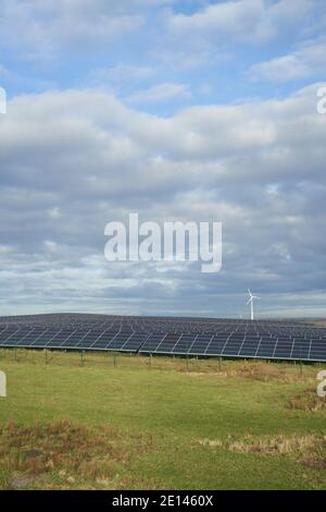 Der Solarpark (3,6 MWp) In Dortmund auf dem Deusenberg Stockfoto