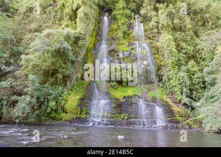 Wasserfall läuft eine Klippe von einer Quelle hoch auf der Talseite. In üppigem Nebelwald in der Nähe des Vulkans Cotopaxi, Ecuador. Stockfoto