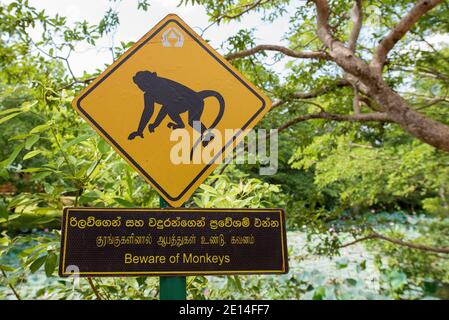 Affe Warnung Straßenschild, Sri Lanka Stockfoto