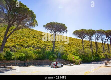 Kloof Corner - Kapstadt, Südafrika - 02/12/2020 Vater läuft mit seinem Kleinkind auf dem Parkplatz von Kloof Corner. Bereit, eine Seilbahn los zu nehmen Stockfoto