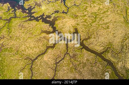 Luftaufnahme von oben nach unten von Fluss und Nebenflüssen in den Feuchtgebieten in der Nähe der Stadt Dalyan, Provinz Muğla, Türkei Stockfoto