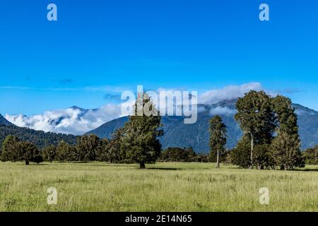 Blick auf die Hänge und Berge des Haast Passes, Südinsel, Neuseeland. Stockfoto