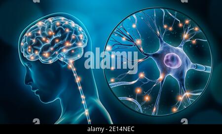 Stimulation oder Aktivität des menschlichen Gehirns mit Nahaufnahme-3D-Rendering-Illustration von Neuronen. Neurologie, Kognition, neuronales Netzwerk, Psychologie, Neurowissenschaften Stockfoto