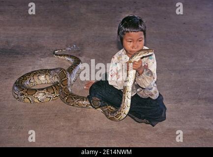 Monm, können wir es behalten? Ein junges kambodschanisches Kind streichelt eine riesige Netzpython (Malayopython reticulatus), in einem kleinen Bergdorf in Südostasien. Stockfoto