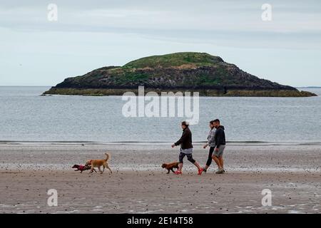 Peopel mit Hunden Wandern entlang Broadsands mit der Lamb Insel Hinten im Firth of Forth Stockfoto