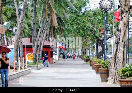 Palmenpromenade entlang Roxas Blvd. In Manila, Philippinen. Stockfoto