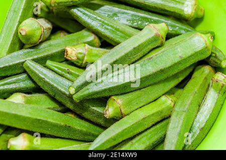 Frische Ochra, Bhindi oder Ladies Finger ganz und ungekocht vor einem hellblauen Hintergrund Stockfoto