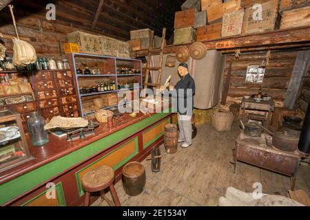 Kanada, British Columbia, Barkerville Historic Town & Park, Chinatown, Sing Lee Herbalist Stockfoto