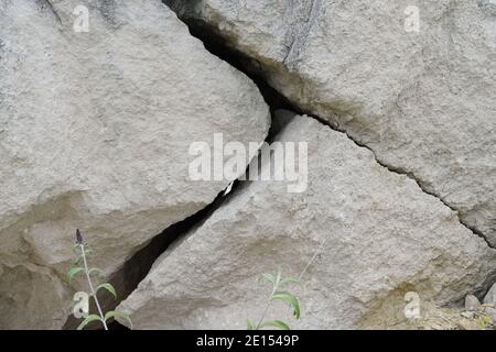 In einem verlassenen Steinbruch auf der Isle of Portland, Dorset, zerteilt sich der große Felsbrocken in drei Teile Stockfoto