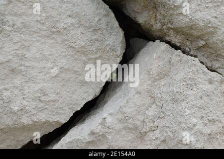 In einem verlassenen Steinbruch auf der Isle of Portland, Dorset, zerteilt sich der große Felsbrocken in drei Teile Stockfoto