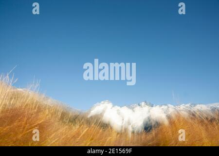 Sonnenaufgangund absichtliche Kamerabewegung verschwommen Effekt über goldenem Gras aus Niedrige Perspektive mit glitzerndem ätherischen Effekt ideal für Hintergründe oder A Stockfoto
