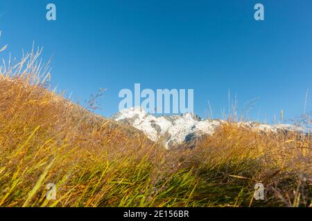 Sonnenaufgänge über selektiver Fokus auf goldenem Gras aus niedriger Perspektive mit glitzerndem ätherischen Effekt ideal für Hintergründe oder abstrakte Anwendungen. Stockfoto