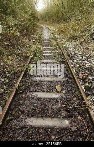 Die selten genutzte Scunthorpe Stahlwerke zu Flixborough Wharf eingleisige Mineraleisenbahn Linie, Lincolnshire, Großbritannien. Stockfoto