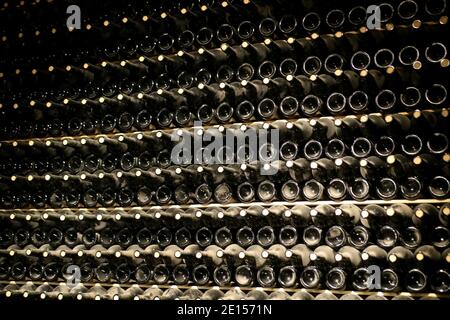 Kellerregal mit vielen staubigen Weinflaschen. Technologie zur Herstellung von Schaumwein. Argentinien Stockfoto