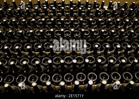 Kellerregal mit vielen staubigen Weinflaschen. Technologie zur Herstellung von Schaumwein. Argentinien Stockfoto