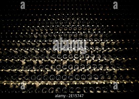 Kellerregal mit vielen staubigen Weinflaschen. Technologie zur Herstellung von Schaumwein. Argentinien Stockfoto