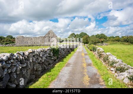 Zerstörte Gebäude und Steinmauern aus Karbon Kalkstein im 7. Jahrhundert Kilmacduagh Kloster in der Nähe von Gort, Grafschaft Galway, Irland Stockfoto