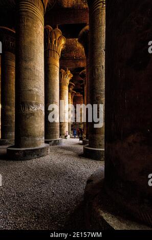 Laufende Restaurierungsarbeiten an der dekorierten Lotusblume und Palmhauptstadt Säulen in Hypostyle Hall von Esna Tempel Stockfoto