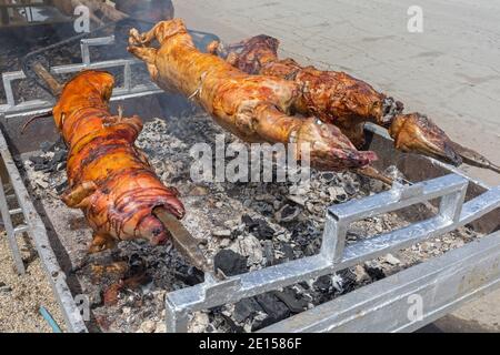 Braten Schweine und Lämmer über Kohle bei Rotisserie Spit Stockfoto