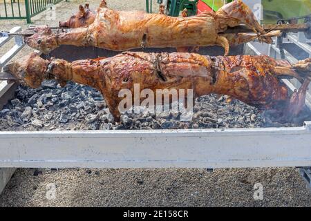 Braten Lämmer und Schwein über Kohle in Rotisserie Spit Stockfoto