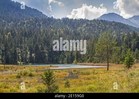 Riedener See, Idyllischer Kleiner Moorsee In Rieden Im Lechtal Stockfoto