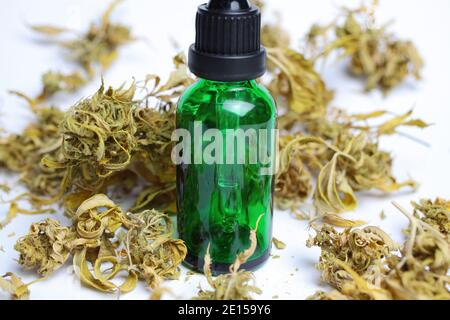 Makro-Nahaufnahme der grünen isolierten Tropfpipette medizinisches Cannabinol cpd-Ölflasche mit getrockneten Cannabisknospen, weißer Hintergrund Stockfoto