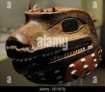 Helm, der den Kopf eines Wolfes darstellt. Tier bewundert und gefürchtet für seine Stärke und Gewalt. Holz, Muschel und Rosshaar. Hergestellt von Tlingit indigenen Menschen, von der North American Pacific Northwest Coast. 18. Jahrhundert. Museum of the Americas. Madrid, Spanien. Stockfoto