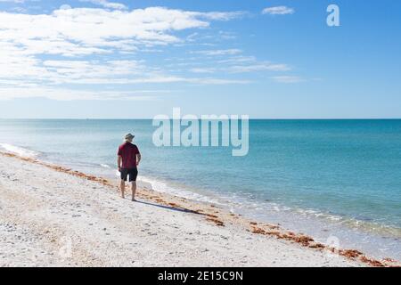 Mann läuft entlang Gasparilla Strand in Florida mit Blick auf Wasser allein Stockfoto