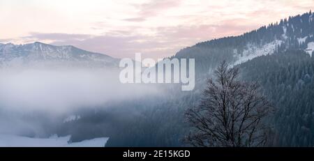 Nebliger Morgen in den Bergen am Spitzingsee Stockfoto