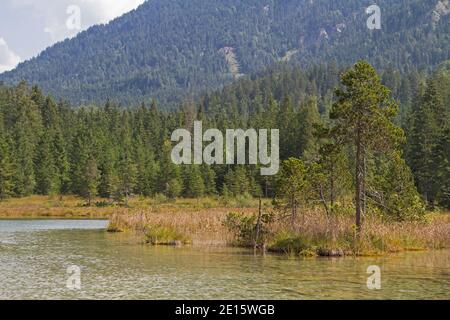 Riedener See, Idyllischer Kleiner Moorsee In Rieden Im Lechtal Stockfoto