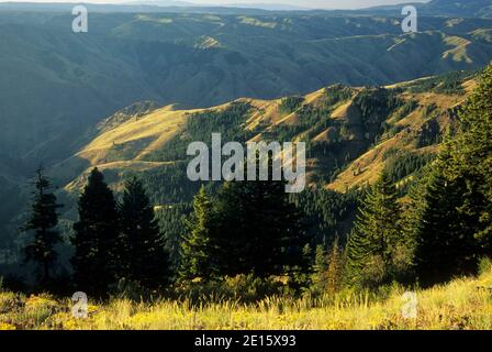 Hells Canyon Blick vom Hells Canyon Blick, Hells Canyon National Recreation Area, Oregon Stockfoto