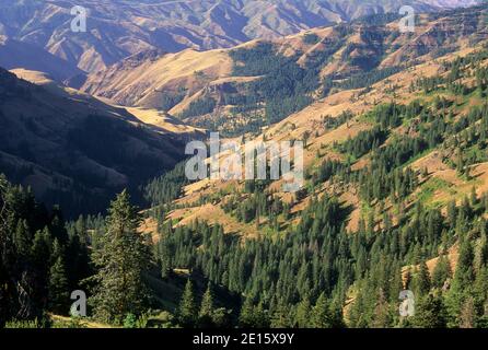 McGraw Creek Canyon, Hells Canyon National Recreation Area, Oregon Stockfoto