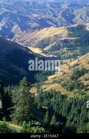 McGraw Creek Canyon, Hells Canyon National Recreation Area, Oregon Stockfoto