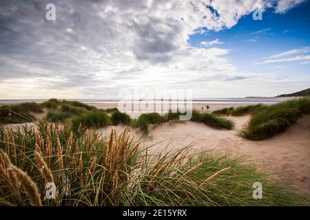 Seegräser und Dünen am Ynysis Beach, Borth, Ceredigion, Wales Großbritannien Stockfoto