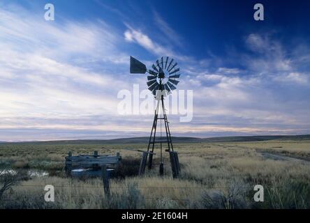 Windmill in der SOD House Rd., Harney County, Oregon Stockfoto