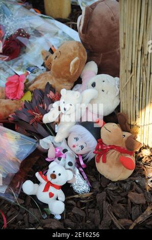 Photo de l'endroit Pry a Chelles, seine et Marne, France le 18 avril 2011 avant la marche silencieuse organizee devant l'emplacement de l'abrii de Bus ou un automobiliste a percute le 16 Avril des Gens et provque la mort de trois personnes, dont Alexandra, 28 ans, et sa fille Chaina, 2 ans, et l'oncle de l'enfant qui attendaient. Le chauffard, un homme age de 44 ans, etait en etat d'ebriete au Moment des faits et conduisait sans permis. Photo Mousse/ABACAPRESS.COM Stockfoto