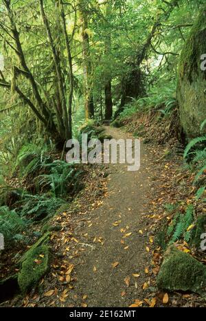 Elk Creek Falls Trail, Rogue-Coquille National Scenic Byway, Siskiyou National Forest, Oregon Stockfoto