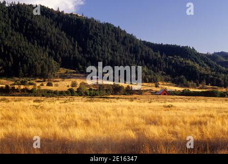 Grass Rangeland im South Umpqua River Valley, Myrtle Creek Canyonville Scenic Historic Tour Route, Oregon Stockfoto