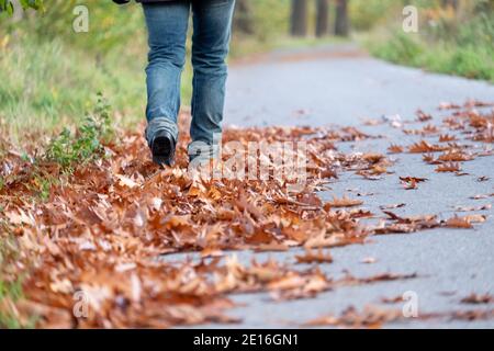 Unerkennbare Person geht auf einem mit herabgefallenen Herbstblättern bedeckten Pfad, Beine und Stiefel Stockfoto