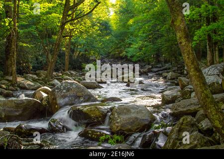 Rauchige Berglandschaft. Ein Bach auf einem felsigen Fluss fließt durch die Bergwildnis des Great Smoky Mountains National Park in Tennessee. Stockfoto