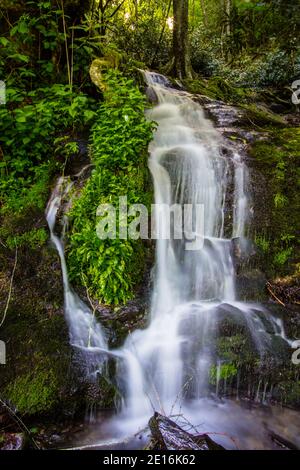 Toller Smoky Mountain Wasserfall. Das Wasser stürzt die Felswand bei einem saisonalen Wasserfall im Great Smoky Mountains National Park ab. Stockfoto