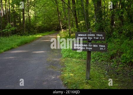 Wandern In Den Great Smoky Mountains. Meilenmarkierungszeichen auf dem Wegweiser im Great Smoky Mountains National Park in North Carolina. Stockfoto