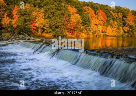 Flusslandschaft Des Herbstes. Wunderschöne Waldlandschaft mit spitzen Herbstfarben und einem kleinen Wasserfall im Fitzgerald County Park in Eaton County, Michigan. Stockfoto