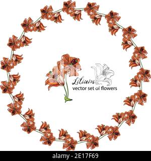 Blumenkränze aus den Blütenknospen der Lilie. Orange Lilie. Lily. Stock Vektor