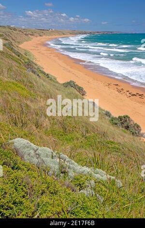 Logans Beach Whale Nursery Stockfoto