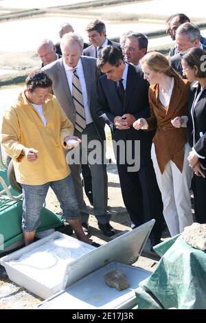 Der französische Premierminister Francois Fillon, flankiert von Nathalie Kosciusko-Morizet, Bruno Le Maire und Marie-Luce Penchard, besucht am 10. Juni 2011 vor dem Interministeriellen Komitee des Seees in Guerande, Westfrankreich, einen Salzwiesen. Foto von Laetitia Notarianni/ABACAPRESS.COM Stockfoto